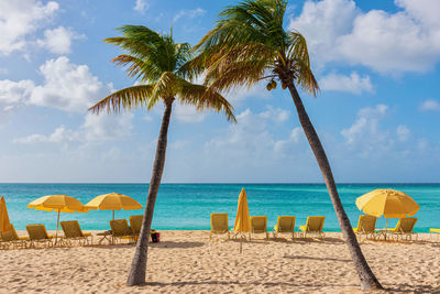 Coconut palm trees on beach against sky