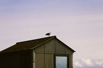 Low angle view of bird perching on building against sky