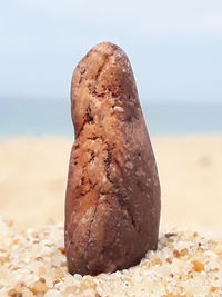 Close-up of bread on land against sky