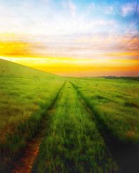 Scenic view of field against sky during sunset