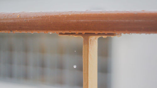 Close-up of wet wood in winter