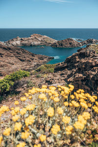 Scenic view of sea against clear sky