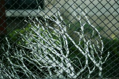 Full frame shot of chainlink fence