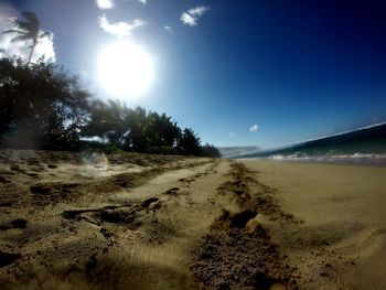 Sun shining over beach