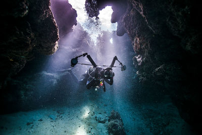 Scuba diver swimming amidst coral in sea