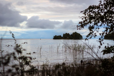 Scenic view of sea and trees against sky