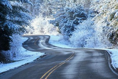 Empty road amidst trees during winter