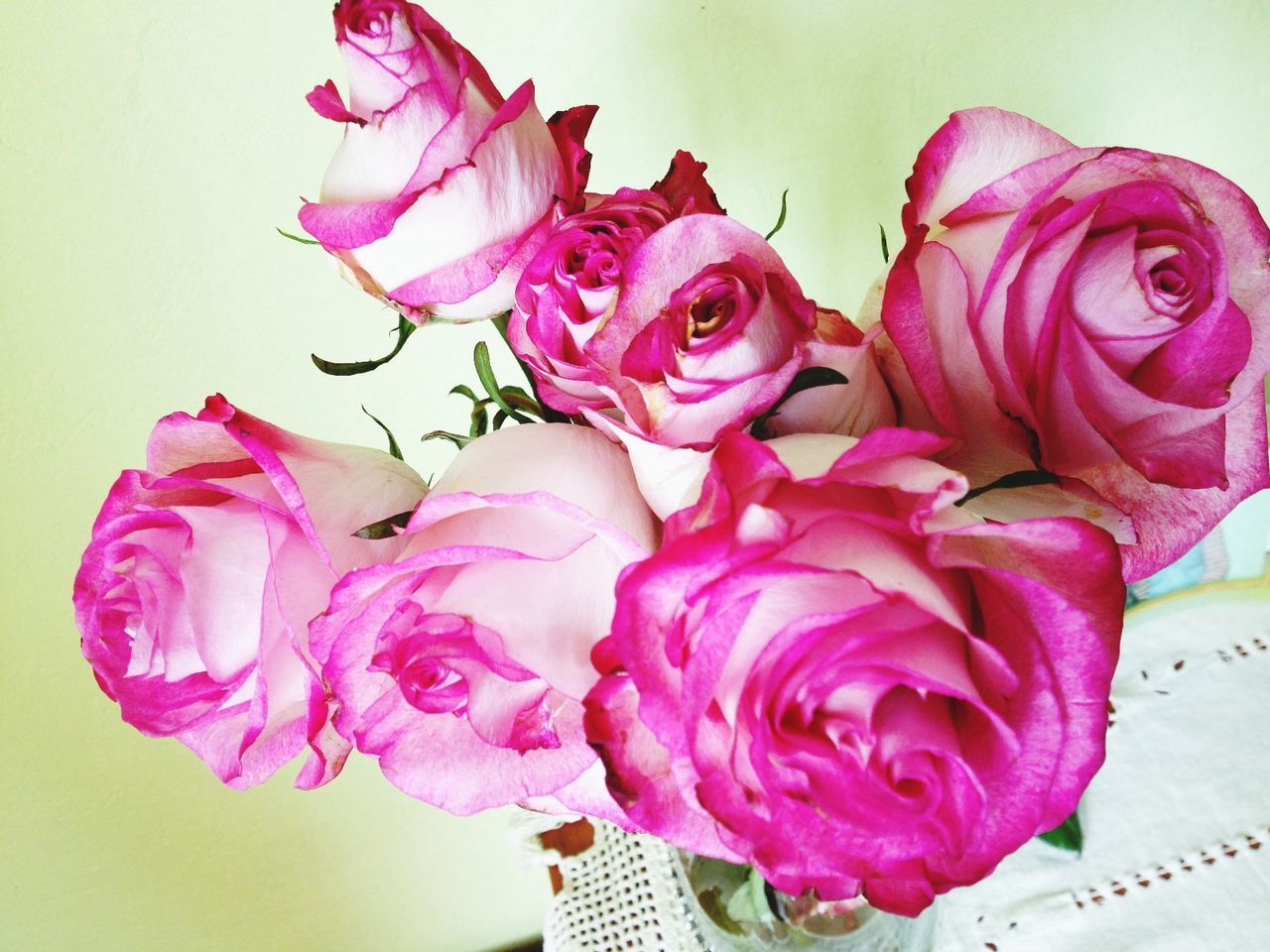 flower, petal, indoors, fragility, pink color, rose - flower, freshness, flower head, close-up, white background, studio shot, vase, bouquet, table, beauty in nature, still life, rose, decoration, flower arrangement, pink