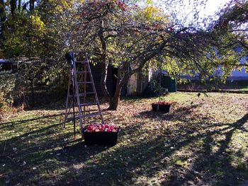 View of empty swing in park