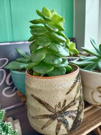 Close-up of potted plant on table