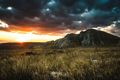 Scenic view of field against sky during sunset