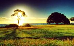 Scenic view of grassy field against sky at sunset