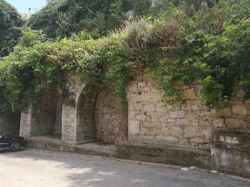 Trees growing in front of built structure