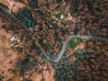 High angle view of road amidst trees