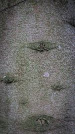 Full frame shot of stone wall