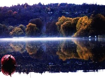 Reflection of trees in lake against sky