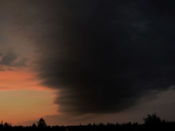 Low angle view of silhouette trees against sky during sunset