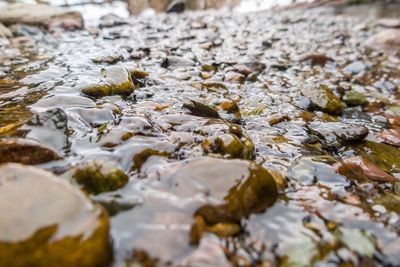 Close-up of water drops on beach