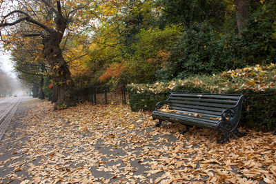 Empty bench on sidewalk surrounded by dry leaves against trees during autumn