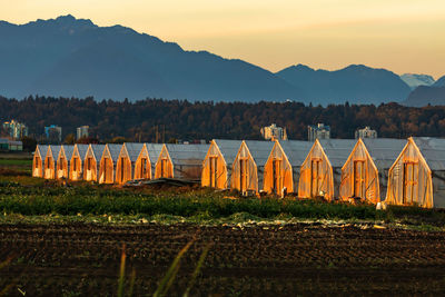 Panoramic view of field against sky during sunset