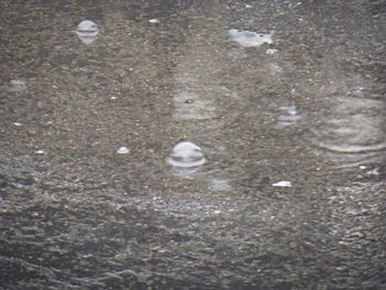 Close-up of stone wall