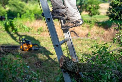 Low section of man working on field