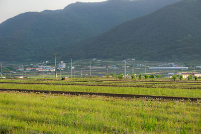 Scenic view of field against mountains