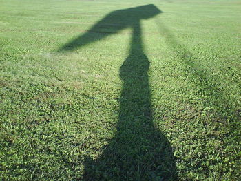 Shadow of man and woman standing on grass