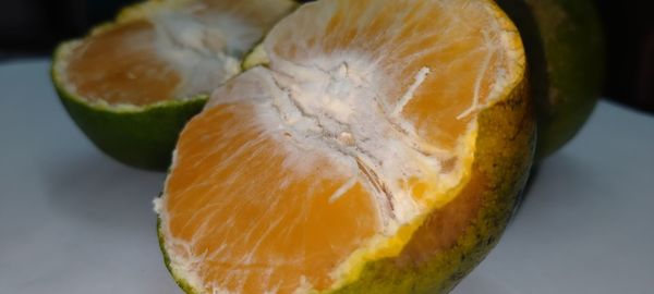 Close-up of orange slices on table