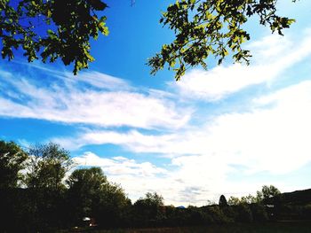 Low angle view of silhouette trees against sky