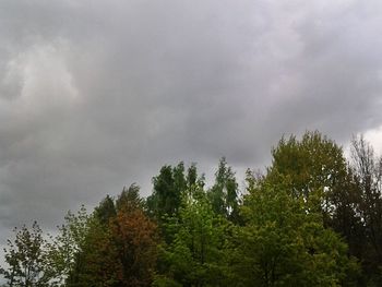 Low angle view of trees against cloudy sky