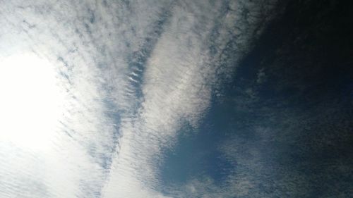 Low angle view of tree against sky