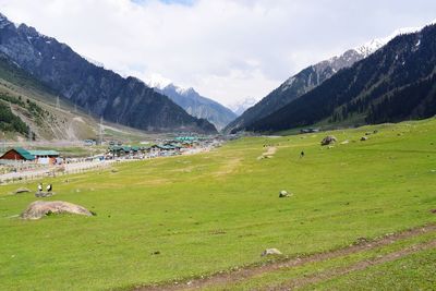 Scenic view of grassy field against mountains