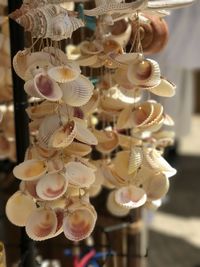 Close-up of illuminated lanterns hanging in market