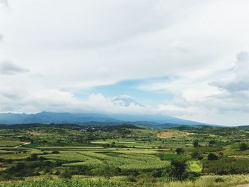 Scenic view of agricultural field against sky