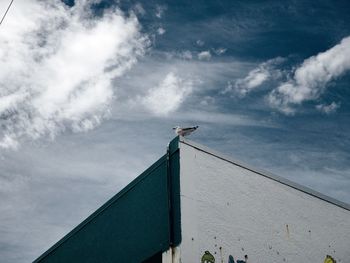 Low angle view of seagull perching on roof against sky