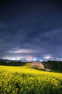 Scenic view of field against sky at night