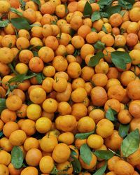 Full frame shot of fruits for sale at market stall