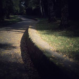 Shadow of trees on farm