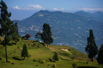 Scenic view of landscape against sky