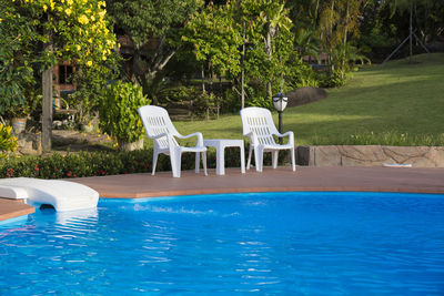 Swimming pool by trees