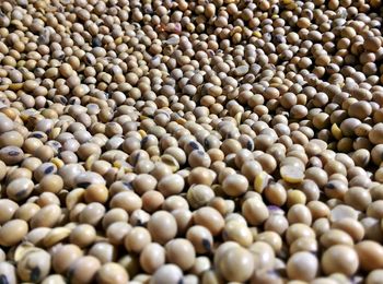 Full frame shot of beans for sale