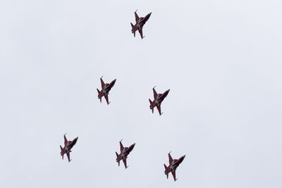 Low angle view of birds flying against clear sky