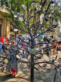 Bicycle hanging on tree
