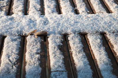 Carpinus betulus and snow at our wooden table.