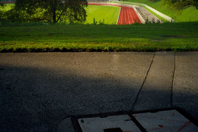 Scenic view of grass