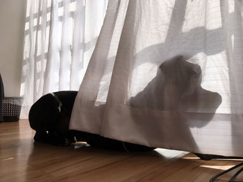 Shadow of person on hardwood floor at home