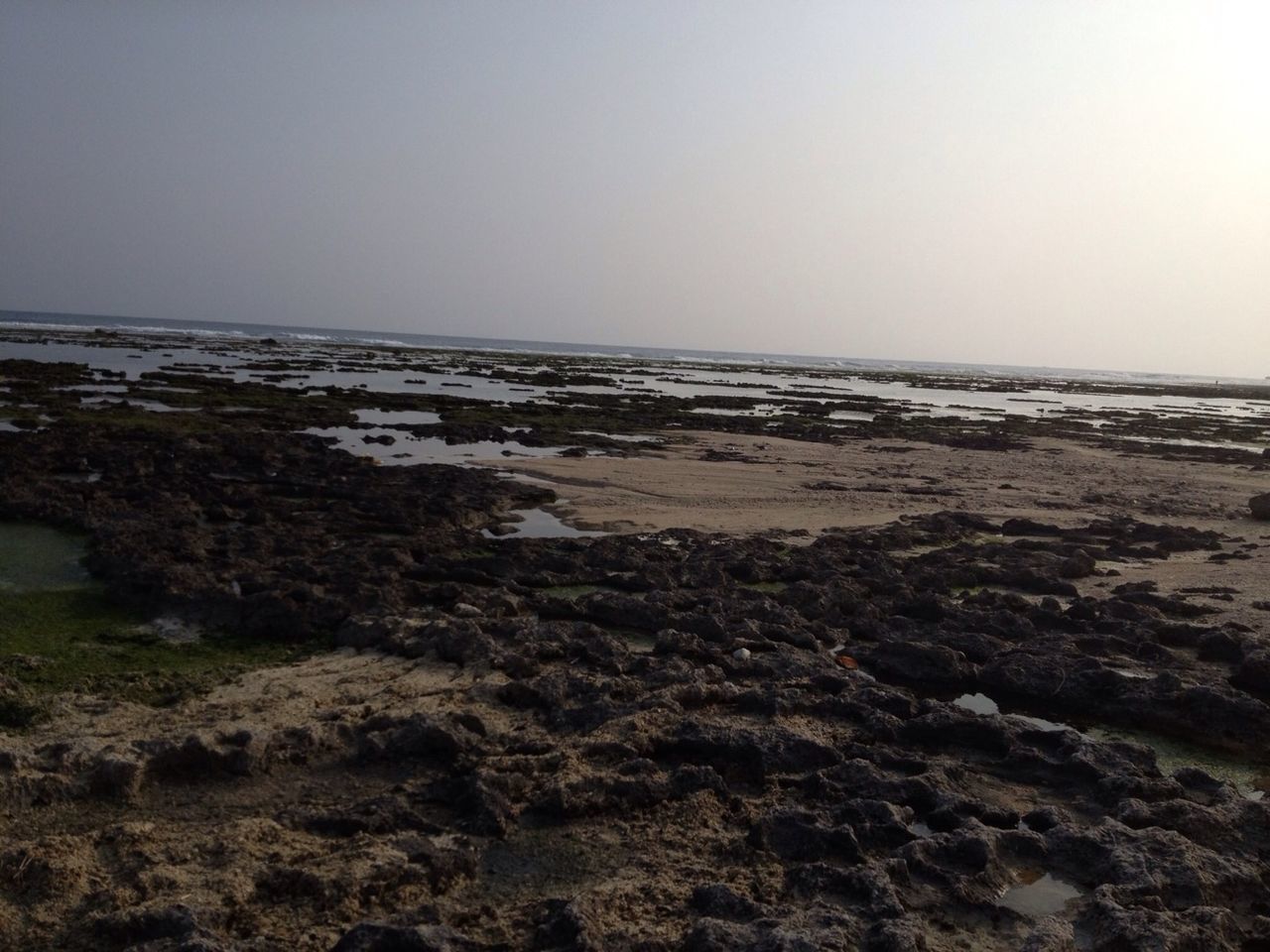 clear sky, horizon over water, sea, beach, copy space, shore, water, sand, tranquility, tranquil scene, scenics, nature, beauty in nature, sky, coastline, remote, outdoors, day, idyllic, non-urban scene