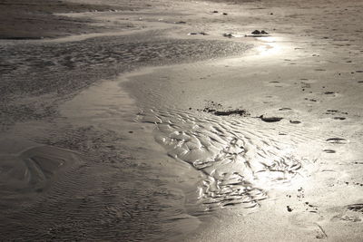 High angle view of footprints on wet sand