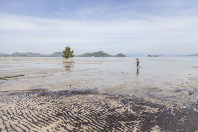 Woman collecting oysters on beach against sky